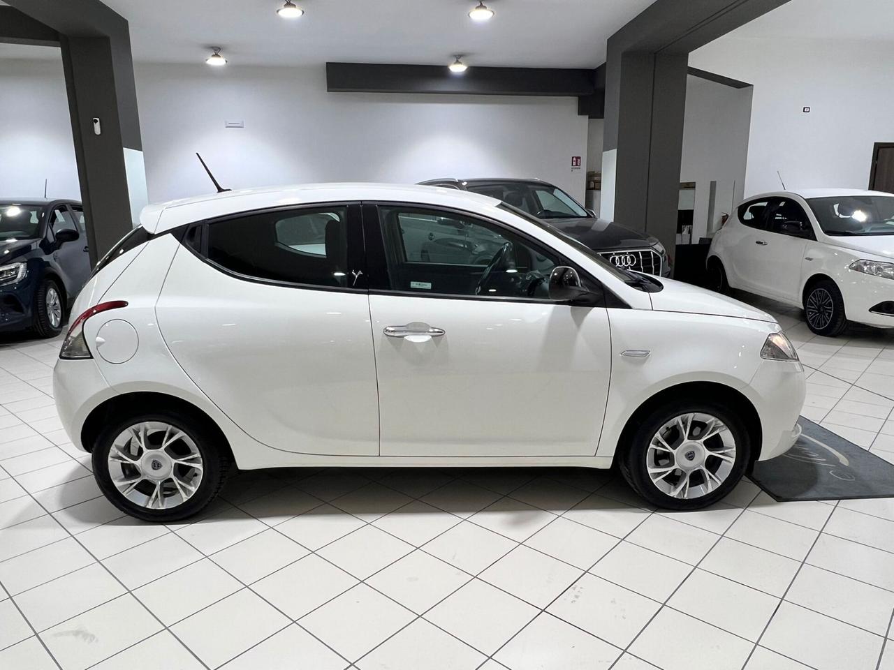 Lancia Ypsilon 1.3 MJT 16V 95 CV 5 porte S&S Platinum