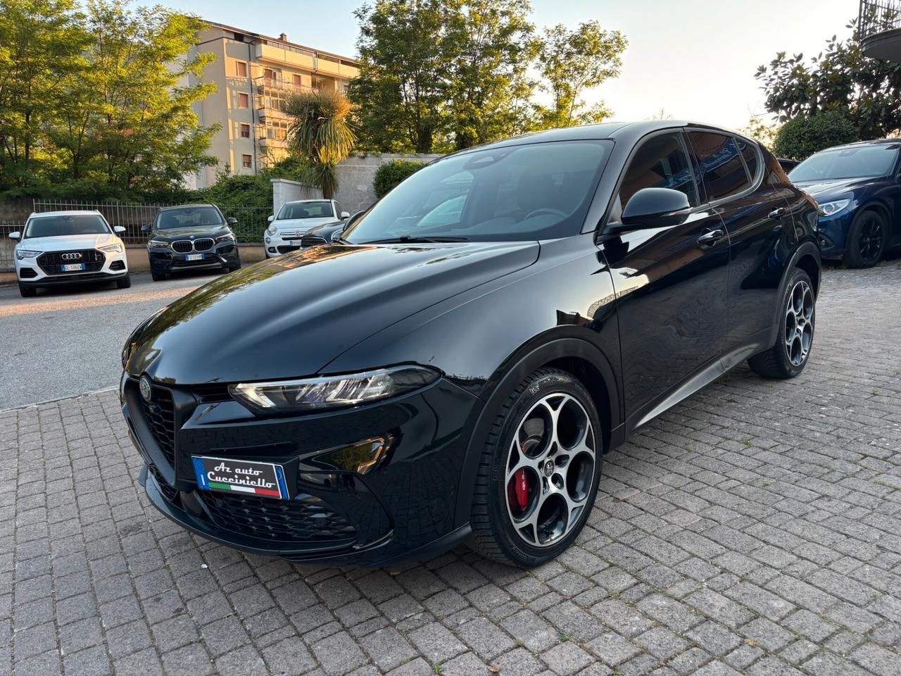 Alfa Romeo Tonale 1.6 diesel 130 CV TCT6 Ti SPRINT MY 24