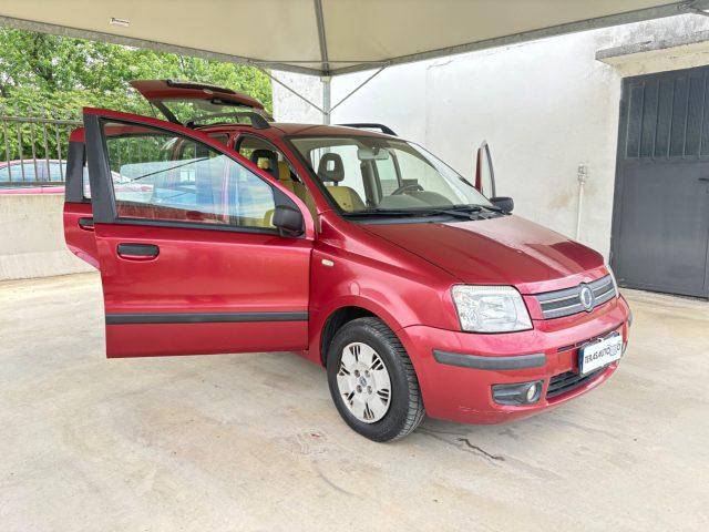 FIAT Panda 1.2 Emotion OK NEOPATENTATI PRONTA CONSEGNA