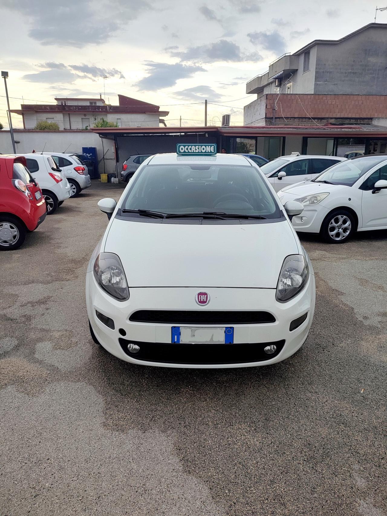 Fiat Punto 1.4 8V 5 porte Natural Power Lounge 77CV