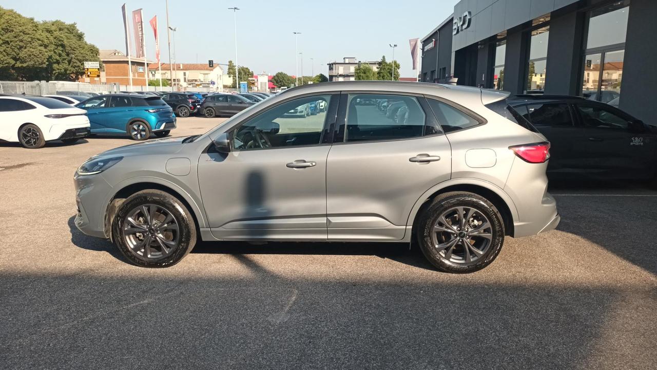 FORD Kuga 3ª serie - Kuga 2.5 Plug In Hybrid 225 CV CVT 2WD ST-Line