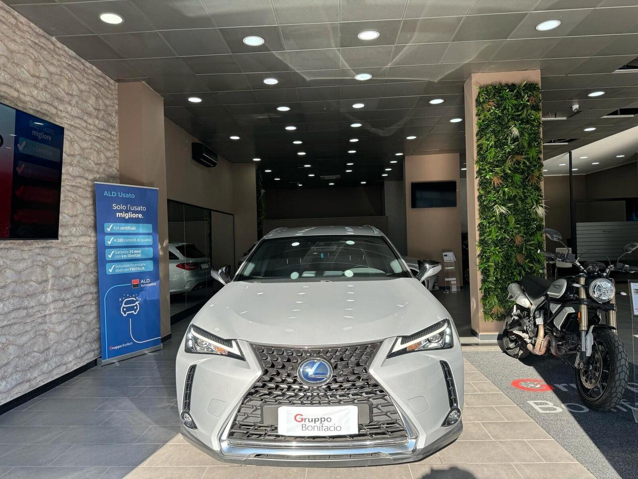 Lexus UX 250 Hybrid Business 2wd cvt my20