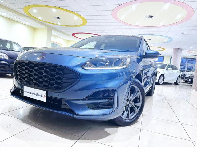 FORD Kuga 2.0 EcoBlue 120 CV aut. 2WD ST-Line