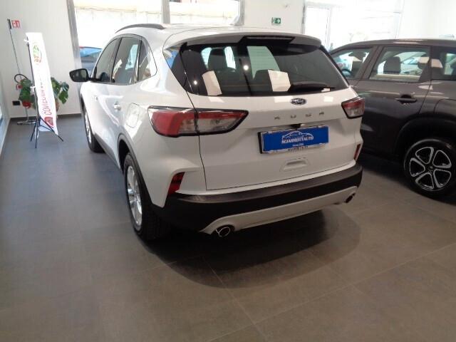 Ford Kuga 1.5 EcoBlue 120 CV aut. 2WD Titanium