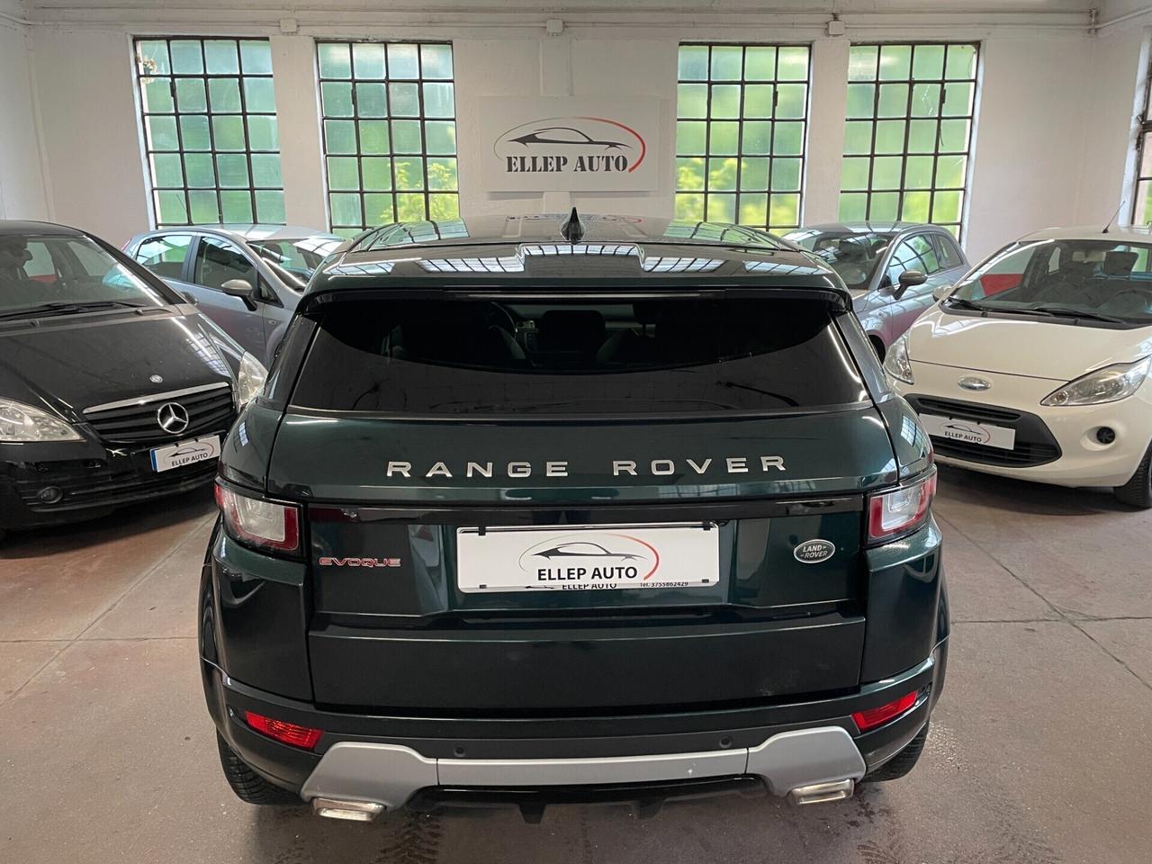 Range Rover Evoque 2.0 TD4 150 CV 5p. Business Edition Pure