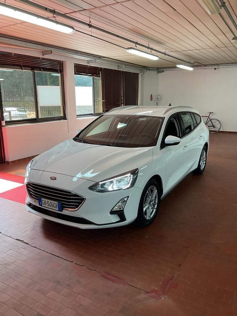 Ford Focus 1.5 EcoBlue 120 CV automatico SW Business