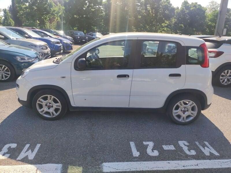 FIAT Panda New My23 1.0 70cv Hybrid Panda