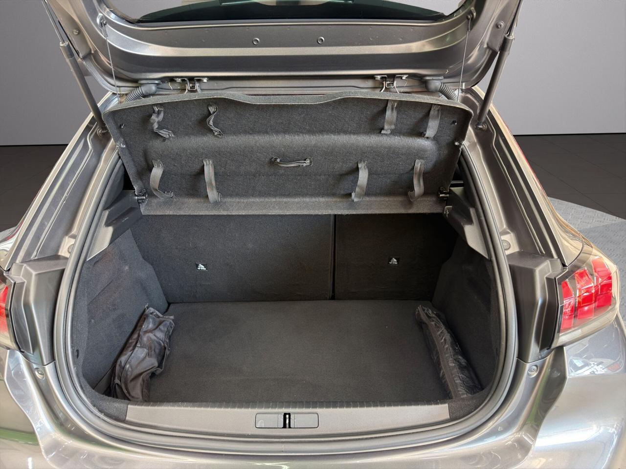 Peugeot 208 BlueHDi 100 Stop&Start 5 porte Active Tetto nero