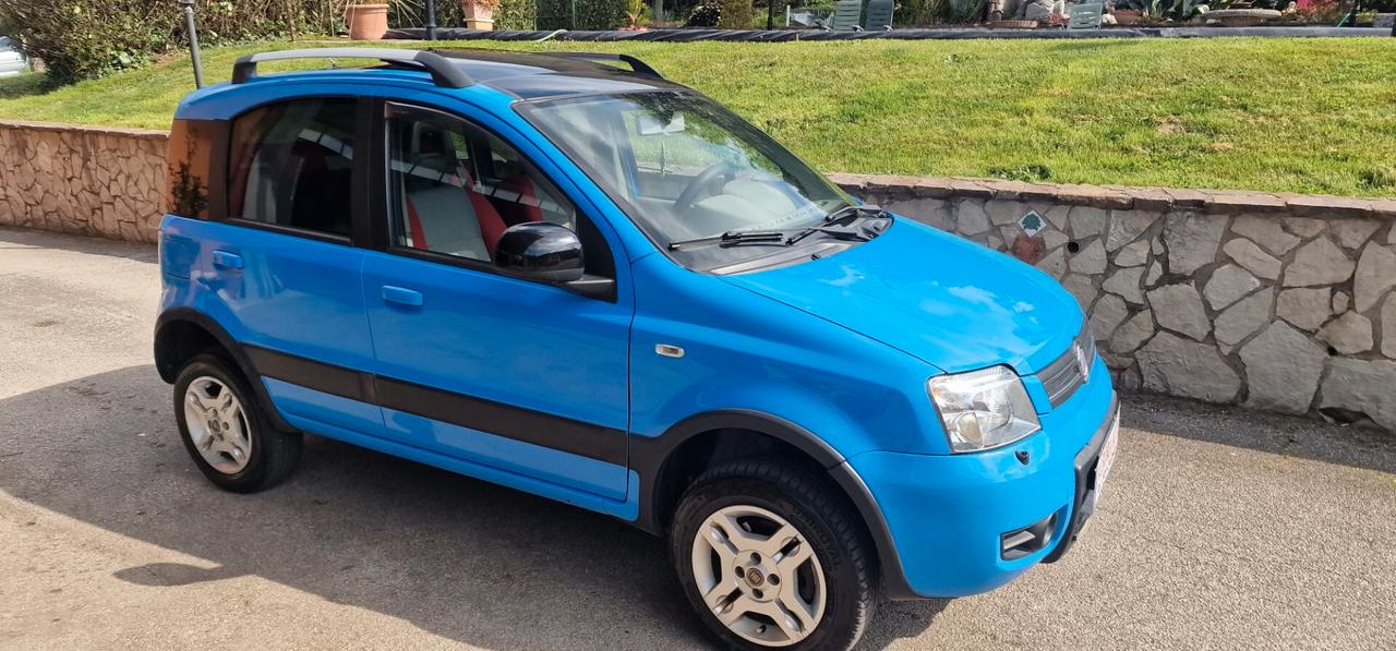Fiat Panda 1.3 MJT 16V 4x4
