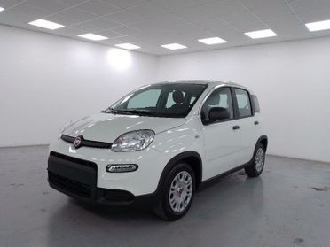 FIAT Panda 1.0 firefly hybrid s&s 70cv