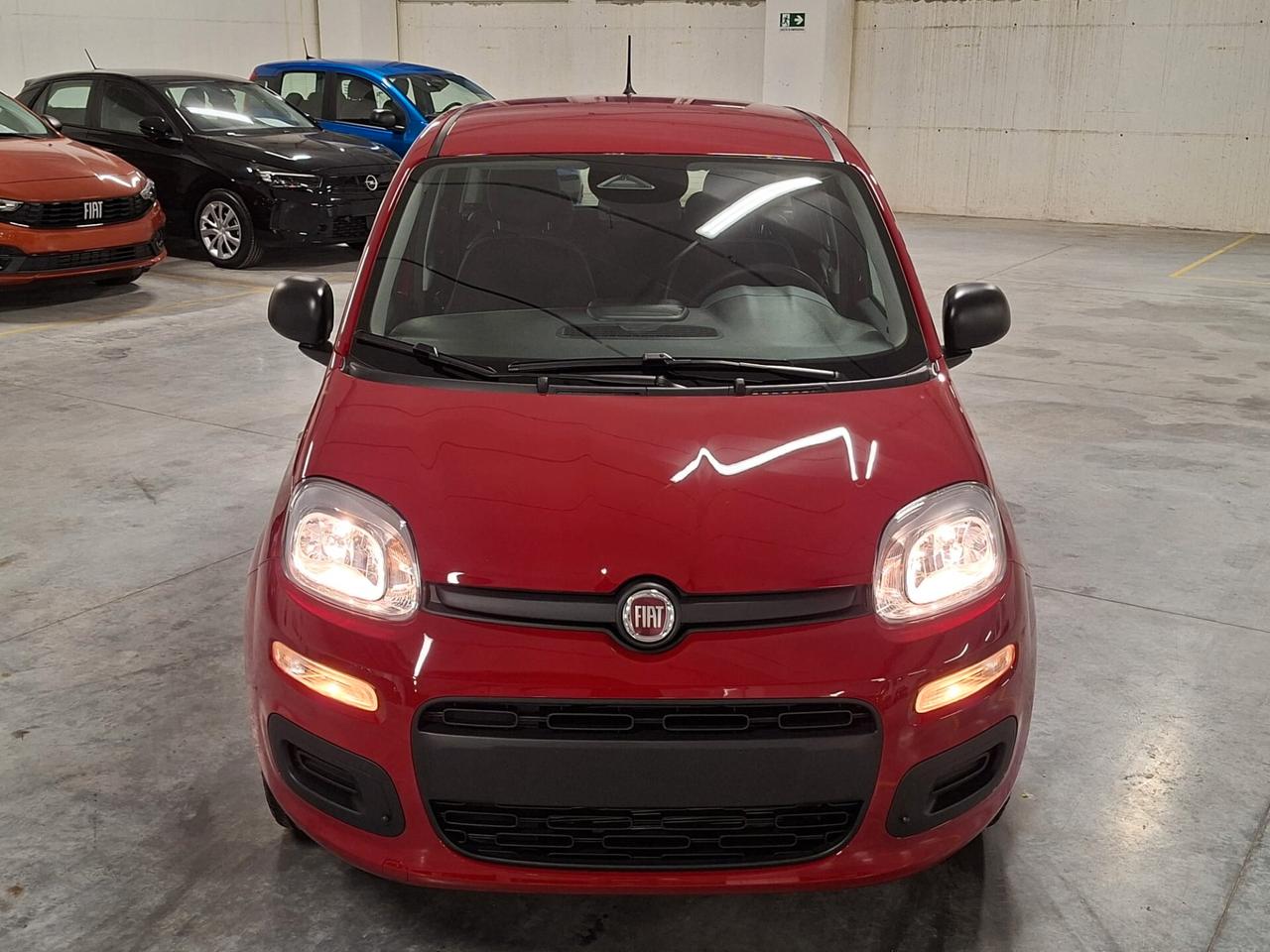 Fiat Panda 1.0 FireFly Hybrid 70CV Icon Km.0 (414)