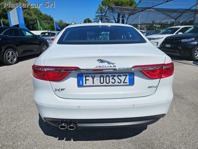 JAGUAR XF XF II Berlina 2.0d i4 Prestige 180cv Auto- FY003SZ