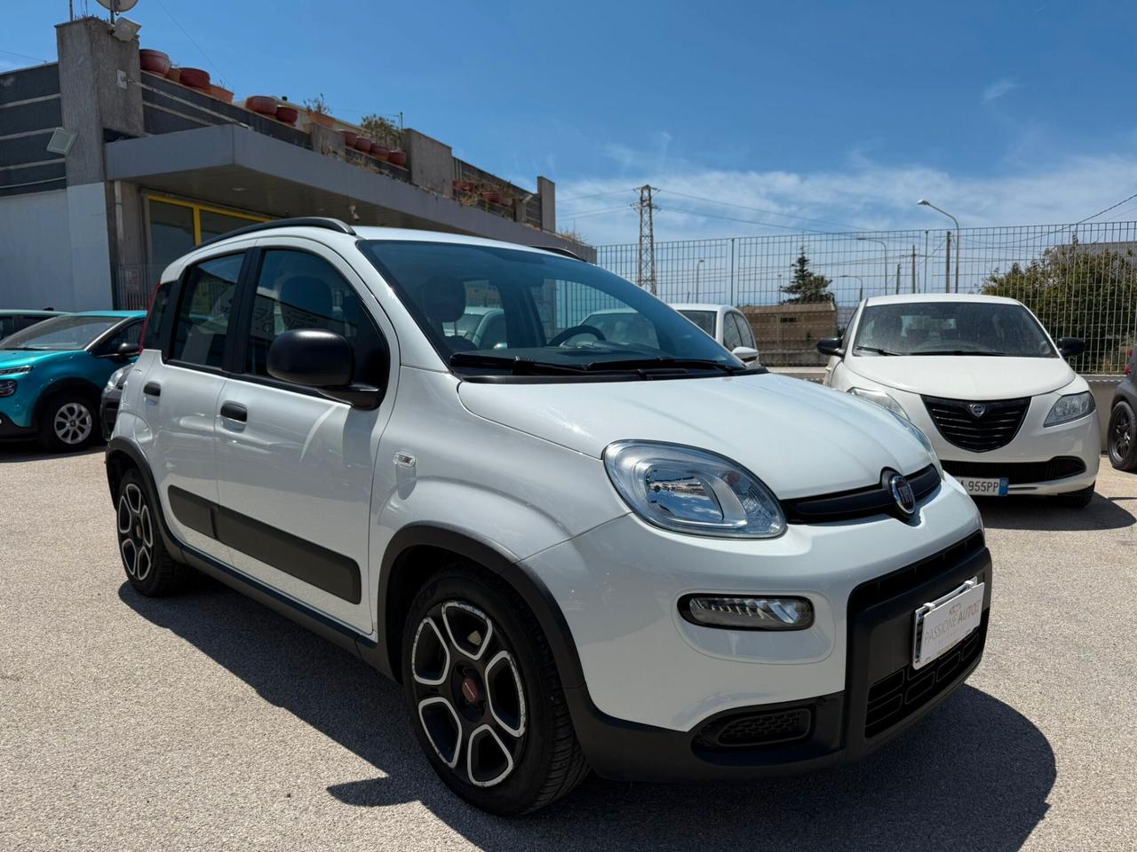 Fiat Panda 1.0 FireFly 70 CV S&S Hybrid Sport