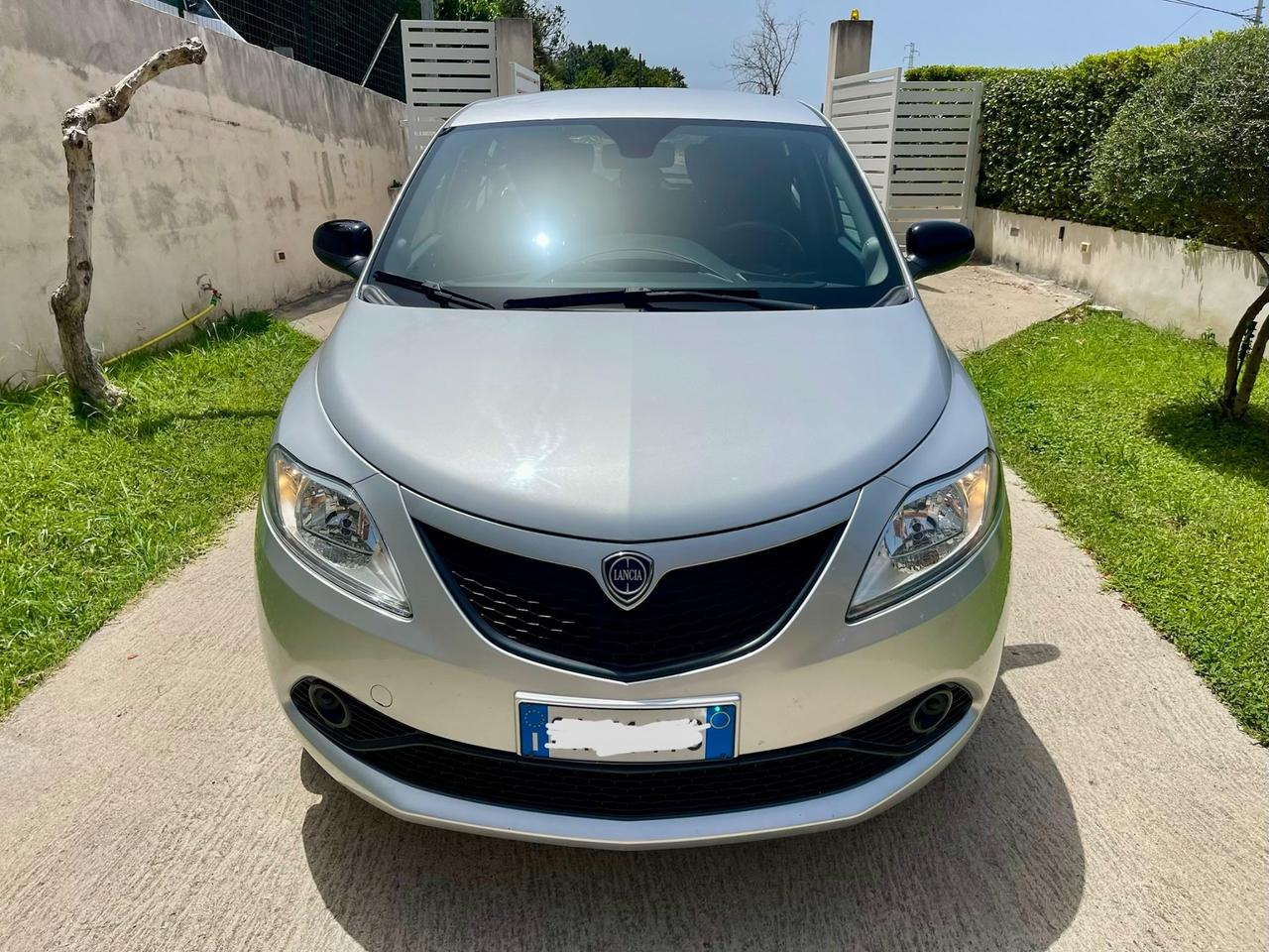 Lancia Ypsilon 1.2 69 CV 5 porte 56000 km