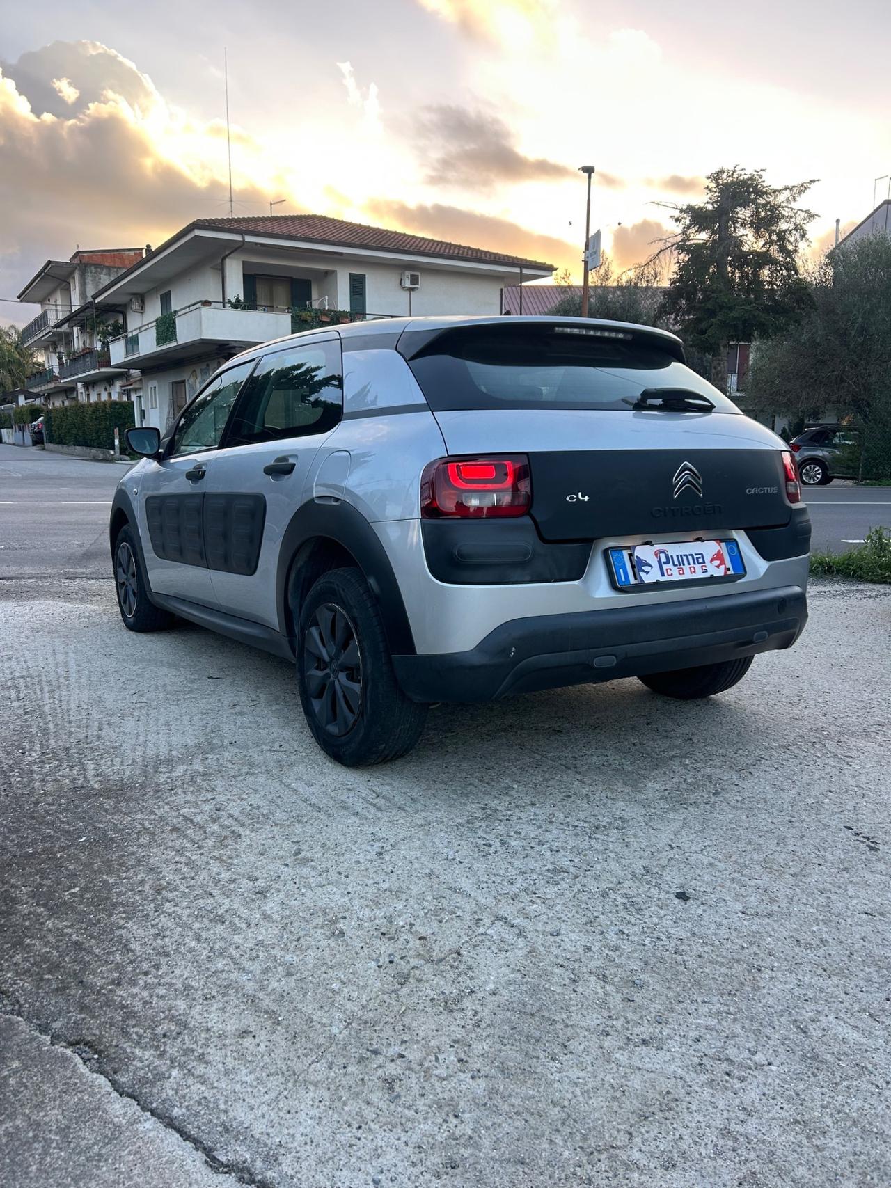 Citroen C4 Cactus BlueHDi 100 Shine