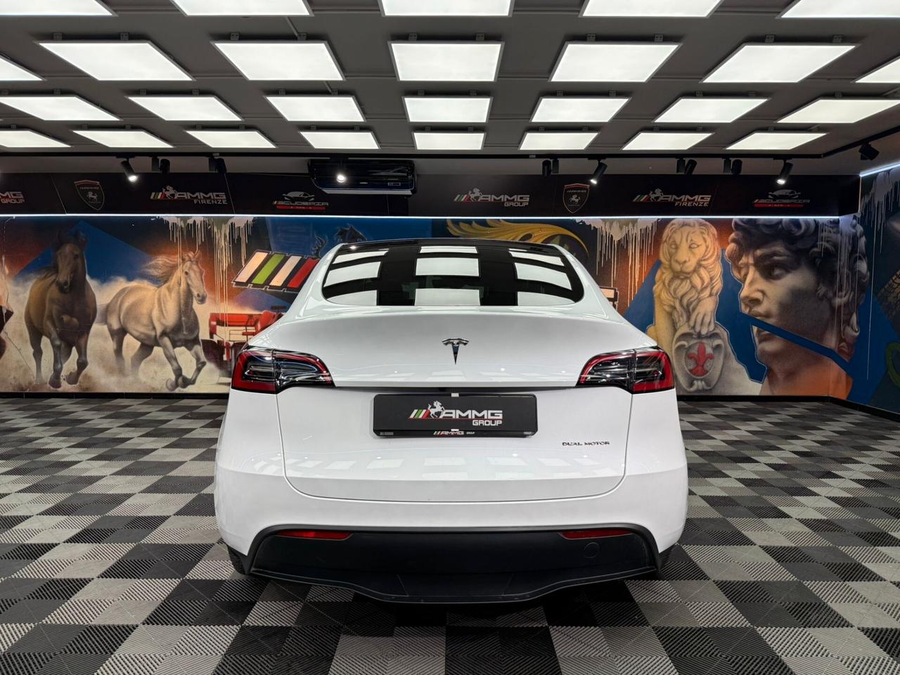 Tesla Model Y Long Range AWD (634)