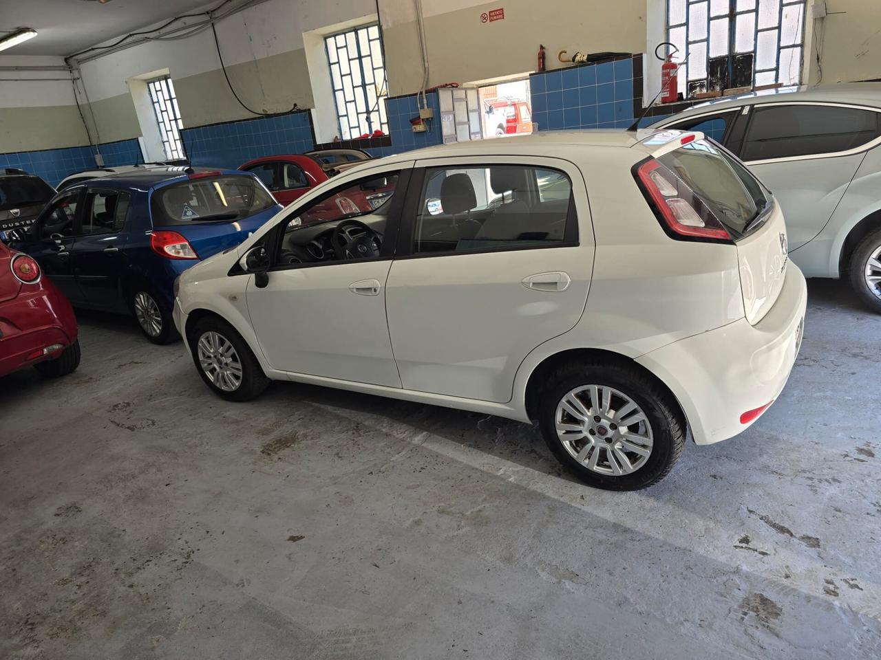 Fiat Punto 1.2 8V 5 porte Lounge motore sostituito certificato