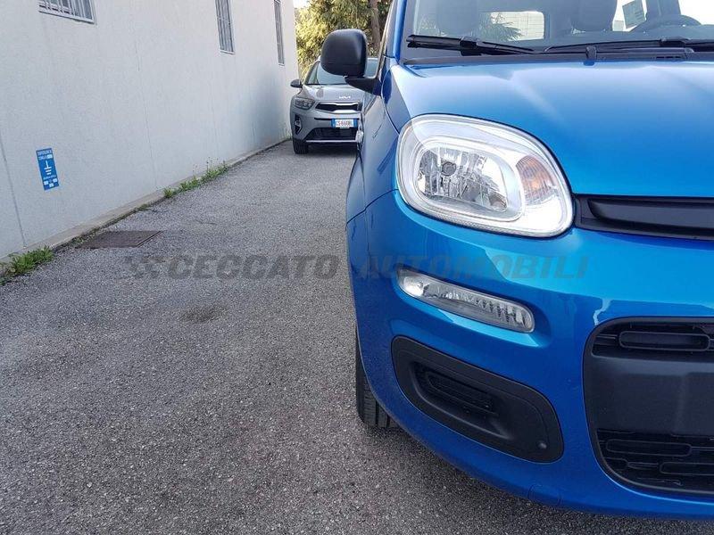 FIAT Panda Panda 1.0 firefly hybrid s&s 70cv