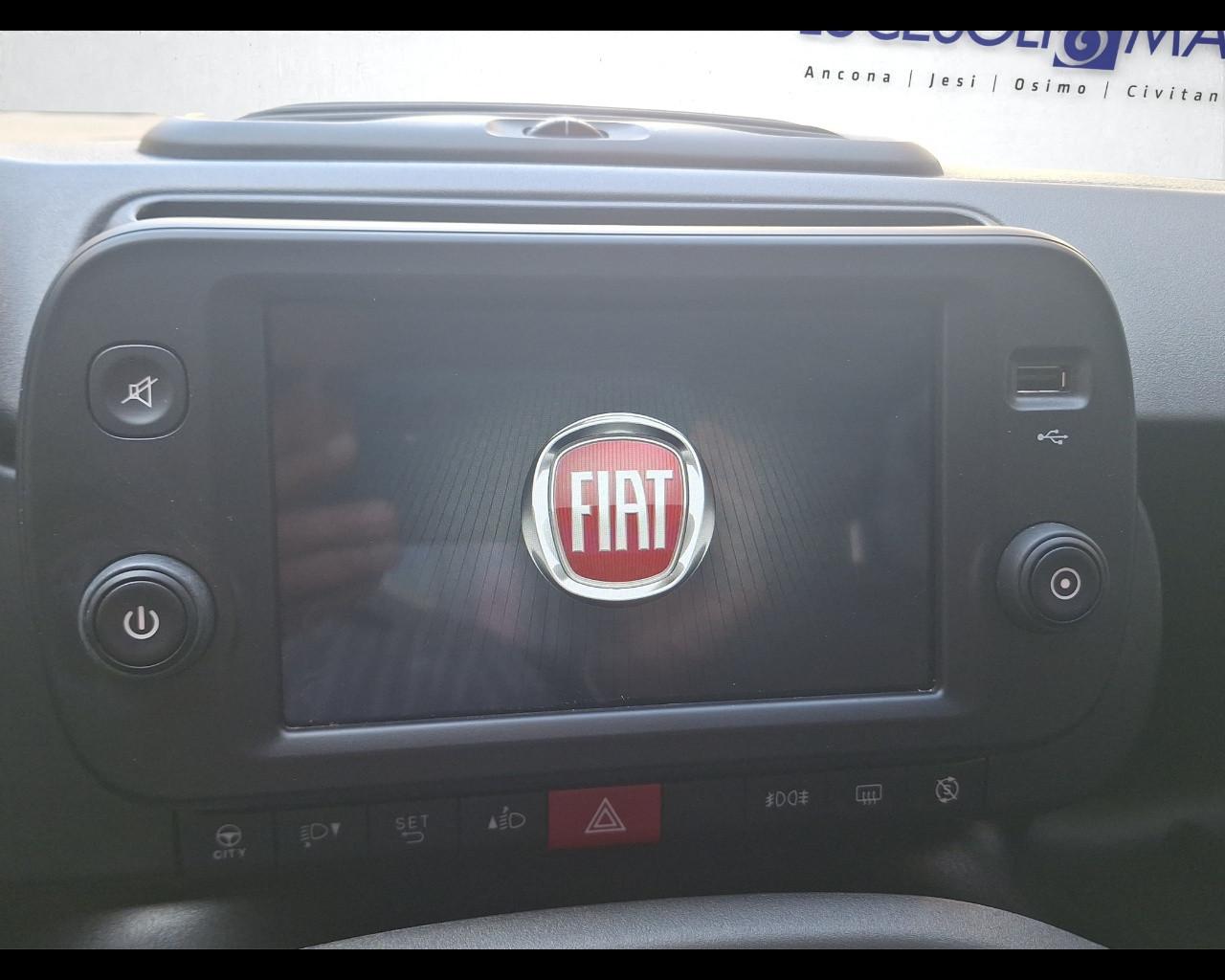 FIAT Panda 3ª serie - Panda 1.0 FireFly S&S Hybrid City Cross