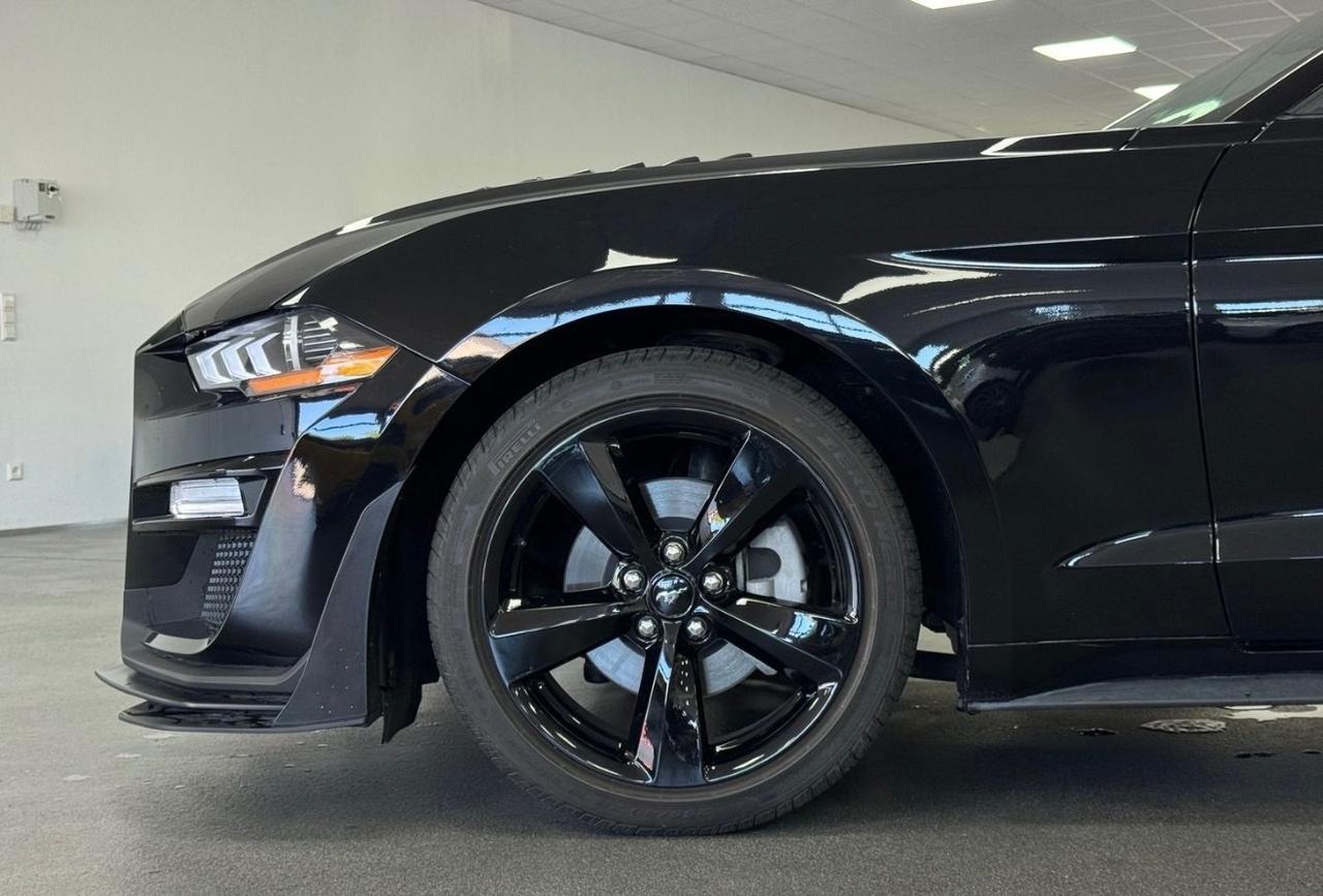 Ford Mustang Fastback 2.3 EcoBoost Coupe GT500 Kit
