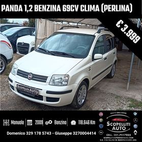 Panda 1,2 8v 60cv (Bianco perla)(Clima)