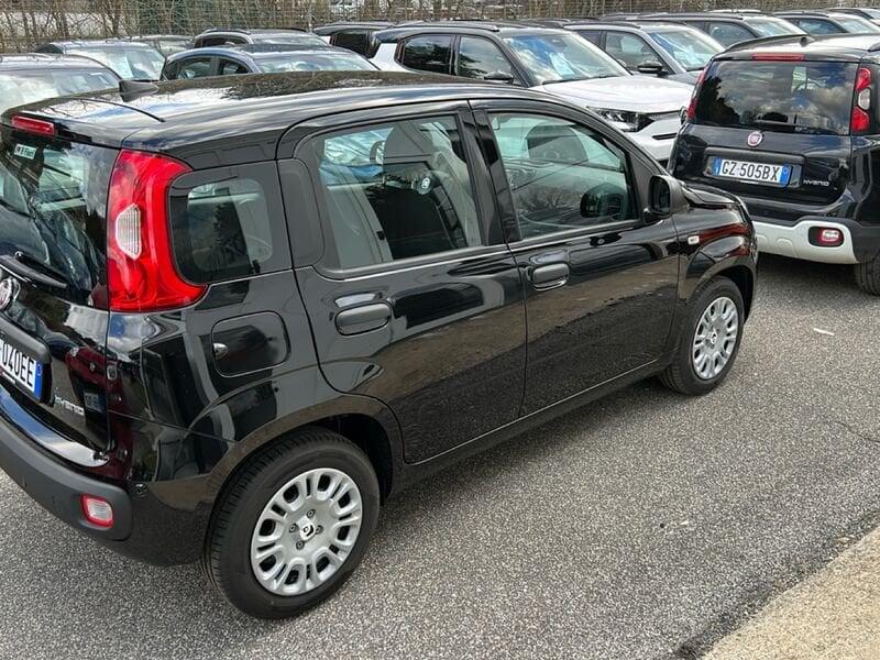 FIAT Panda New 1.0 70cv Hybrid Panda