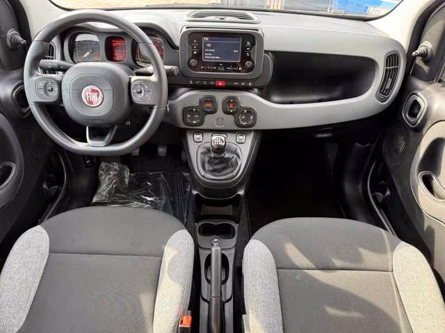 Fiat Panda Panda 1.0 Hybrid PRONTA CONSEGNA 5 POSTI