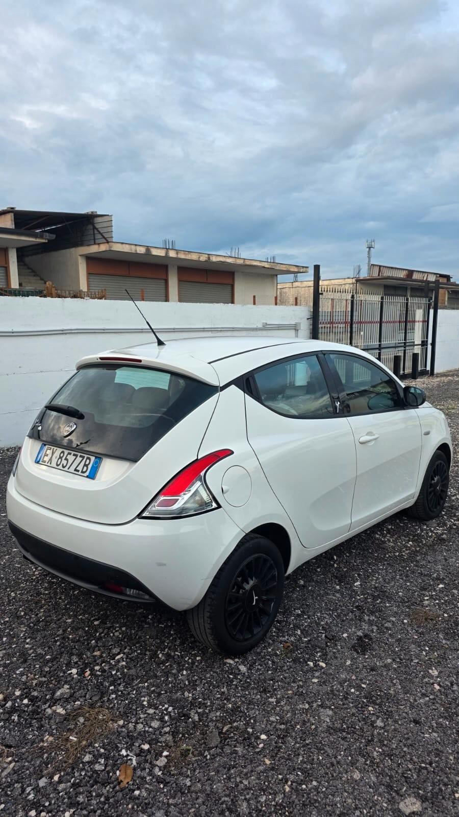 Lancia Ypsilon 1.2 69 CV 5 porte Elefantino