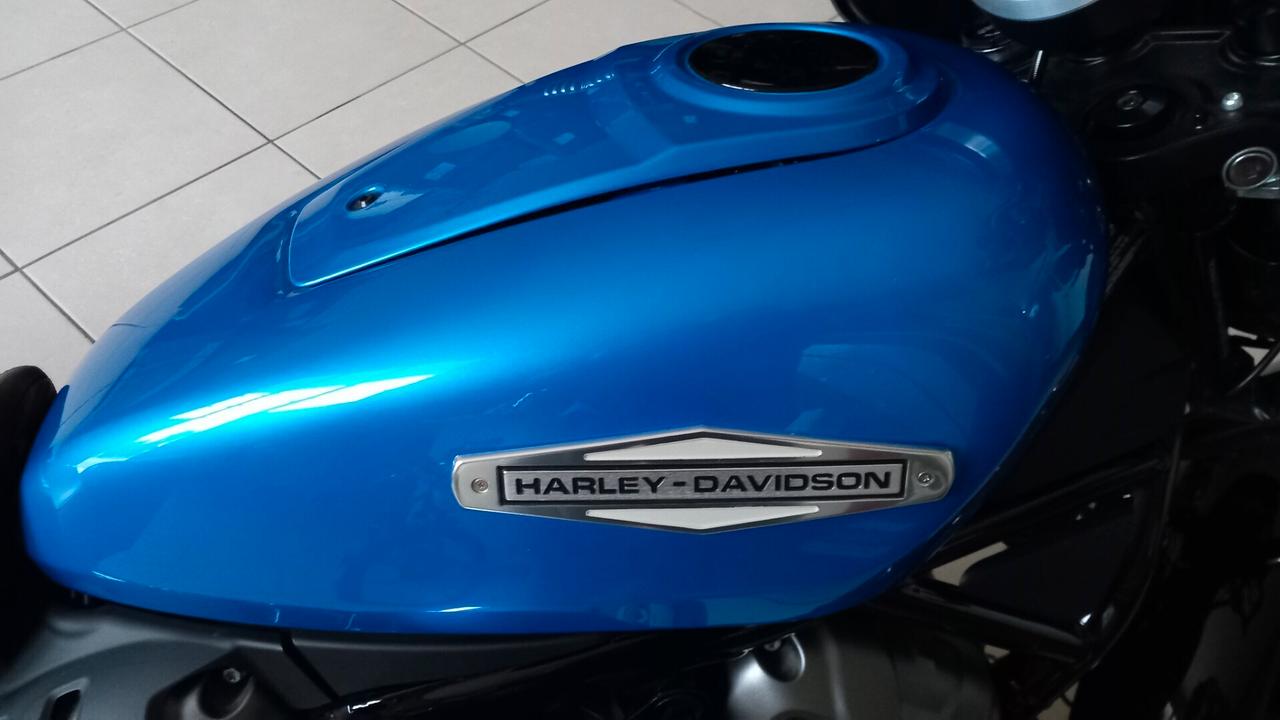 Harley-davidson sportster Nightster 975