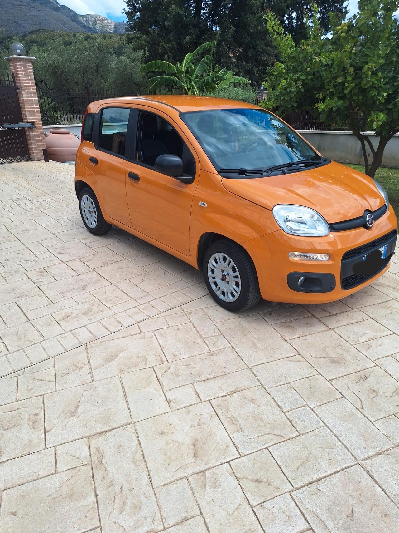 Fiat Panda 1.2 Easy