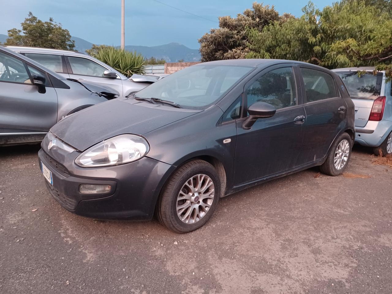 Fiat Punto Evo Punto Evo 1.3 Mjt 95 CV DPF 5 porte S&S Emotion