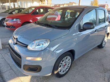 FIAT Panda 1.0 FireFly S&S Hybrid Uniprò Clima Fatturab.