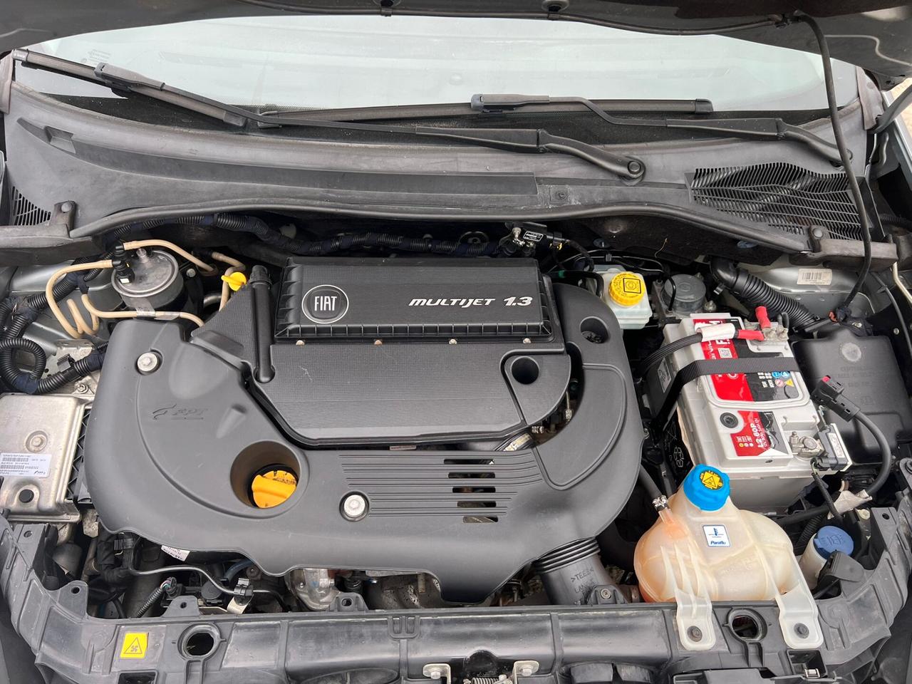 Fiat Punto Evo 1.3 Mjt 75 CV DPF 5 porte S&S Active