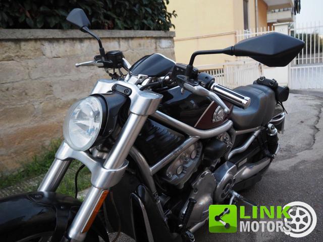 HARLEY-DAVIDSON 1130 V-ROD - VRSCR Street Rod