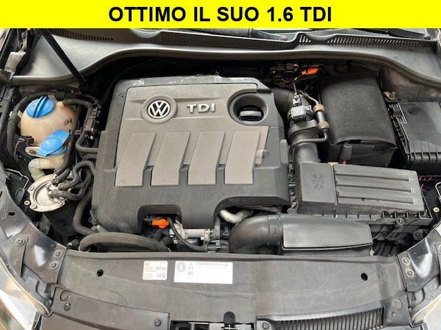 VOLKSWAGEN Golf 1.6 TDI DPF Highline