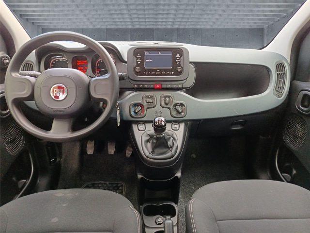 FIAT Panda 3ª serie 1.0 FireFly S&S Hybrid