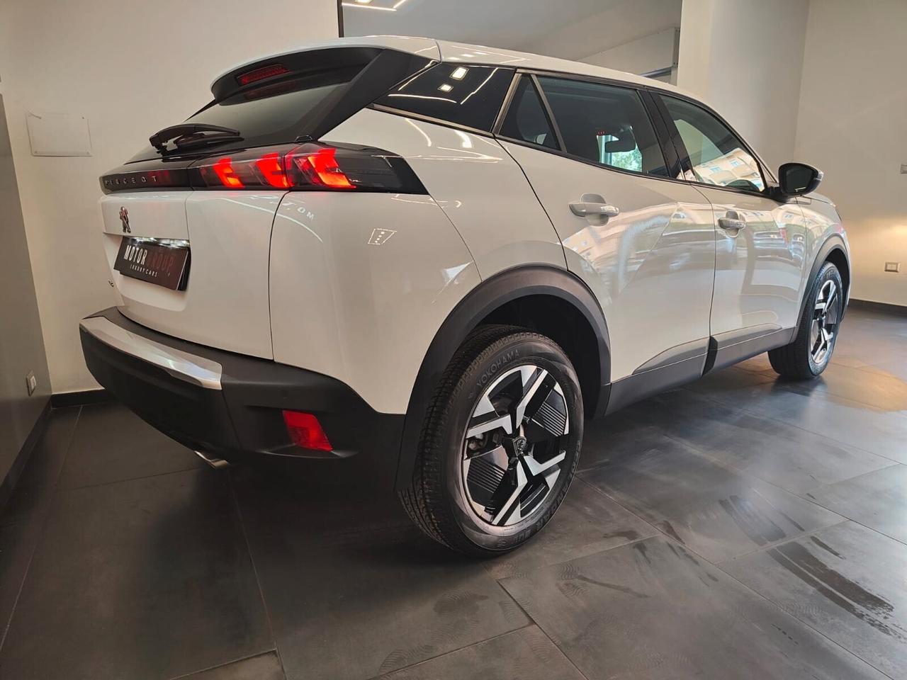 Peugeot 2008 1.5 BlueHDi 110 S&S Active