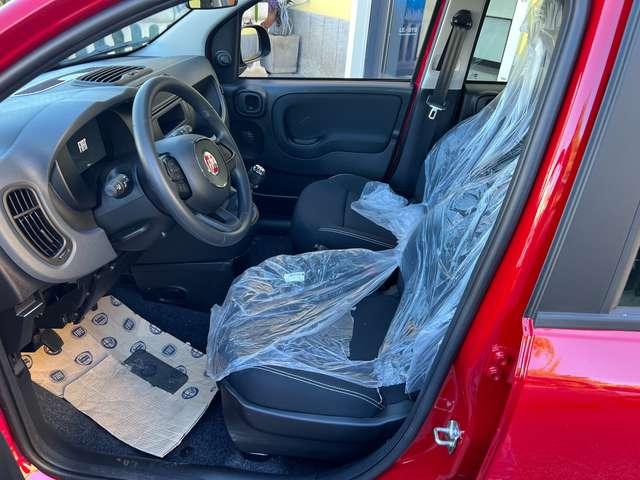 Fiat Panda Panda1.0 firefly hybrid KM 0 DIVERSI COLORI pronte