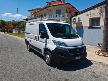 Ducato l1h1 anno 2019 con allestimento