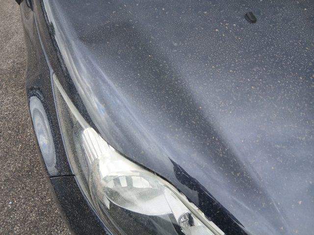 FORD Fiesta + 1.2 82CV 5 porte