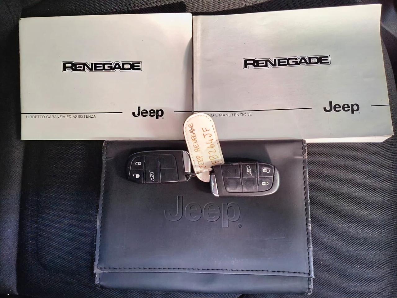 Jeep Renegade 1.6 Mjt 120cv Limited 2015