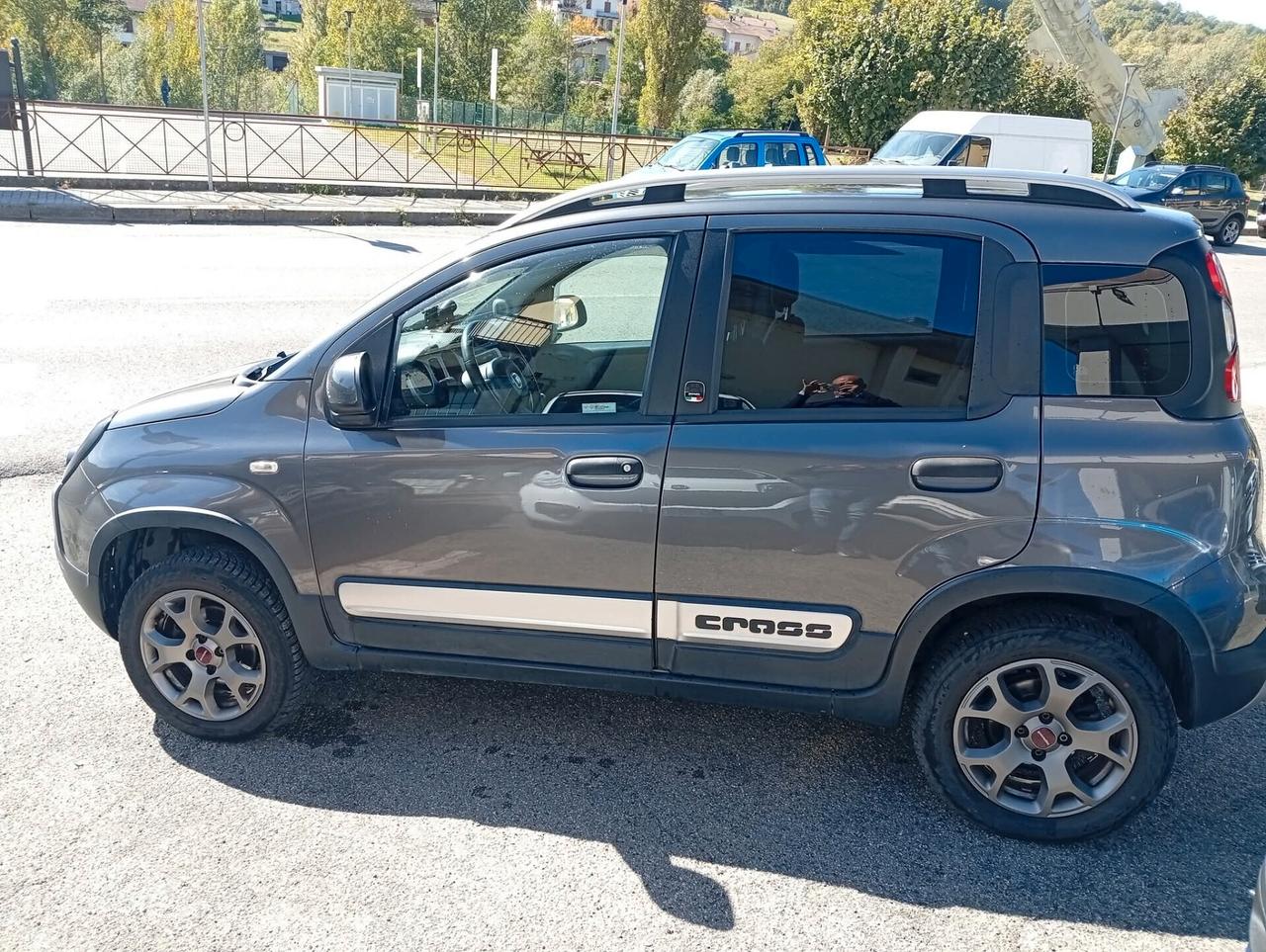 Fiat Panda Cross 1.3 MJT 95 CV S&S 4x4