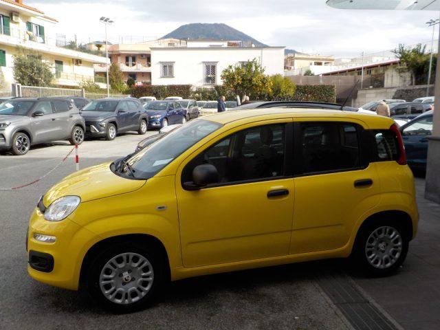 FIAT Panda MY25 - 1.0 FireFly Hybrid ICON