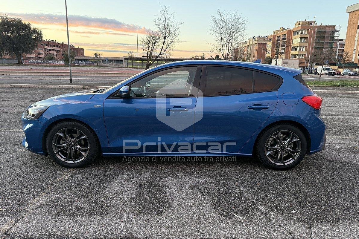 FORD Focus 1.0 EcoBoost 125 CV automatico 5p. ST-Line Co-Pilot