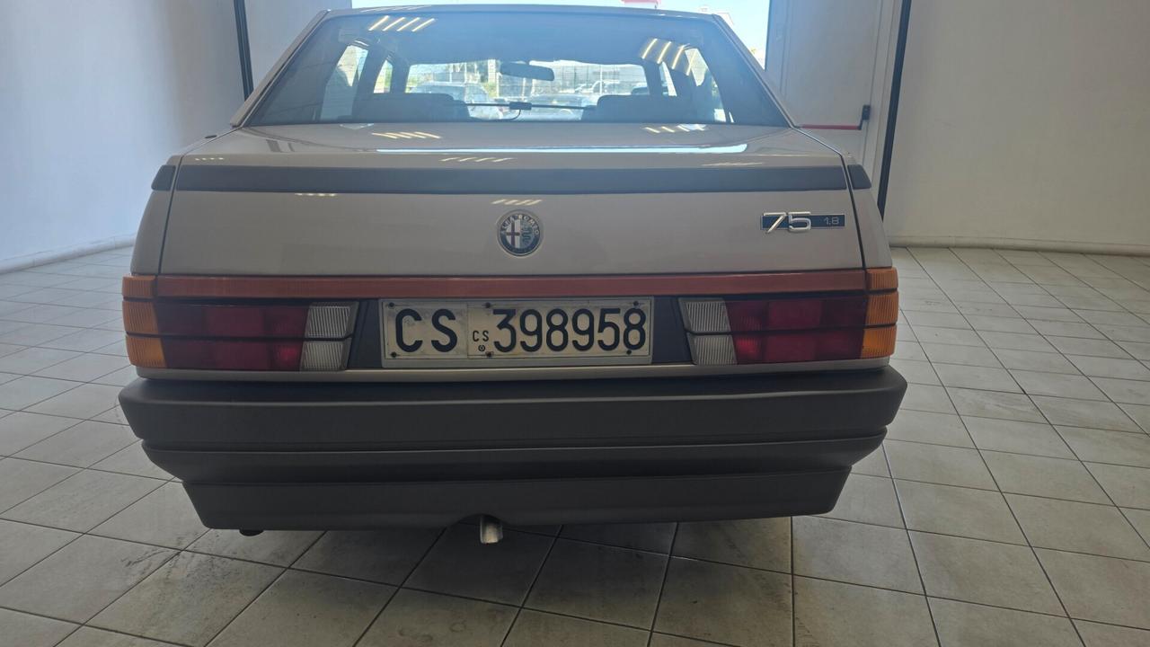 Alfa Romeo 75 1.8 carburatori Perfetta