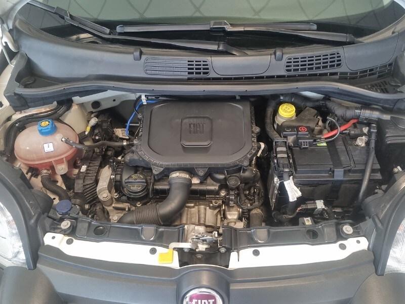 FIAT Panda 3ª serie Panda 1.0 FireFly S&S Hybr...