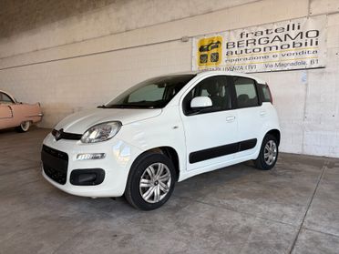 Fiat Panda 1.2 Lounge 5 POSTI Cinghia & Frizione Nuove