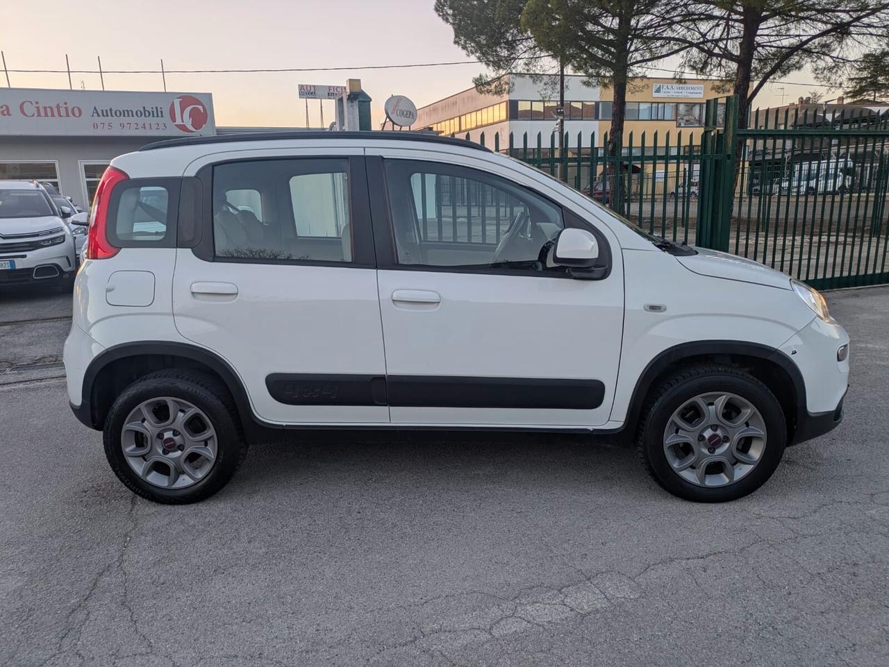 Fiat Panda 1.3 MJT S&S 4x4 Antartica