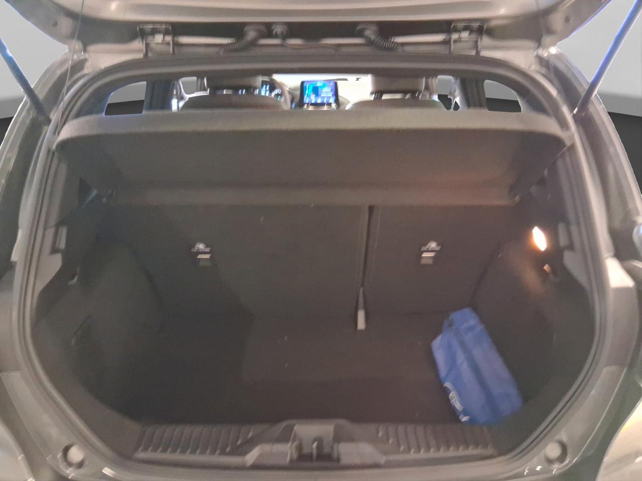 Ford Fiesta 1.0 Ecoboost Hybrid 125 CV 5 porte ST-Line X