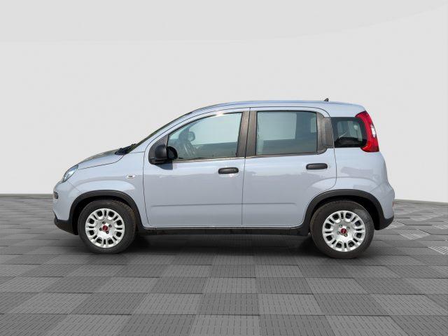 FIAT Panda Panda 1.0 FireFly Hybrid City Life